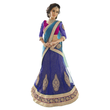 Triveni Fascinating Blue Colored Border Worked Net Jacquard Lehenga Choli